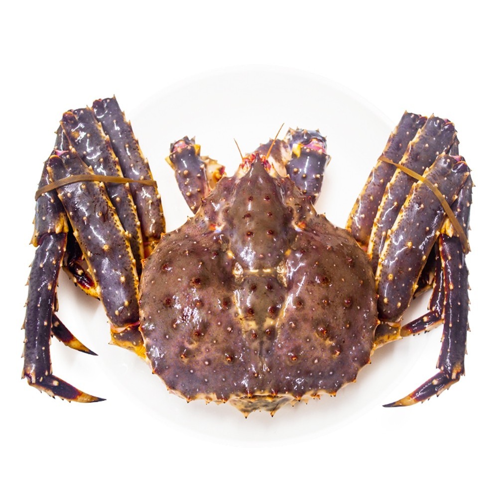 鲜活 | 帝王蟹Kamchatka crab（保鲜不保活）